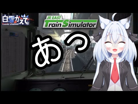 【PC:JRETS】東武車をぶっ壊しにいく狐