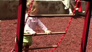 Wiggle Ladder - TenderTuff™ Coated Steel Rungs on Chains