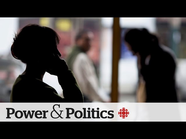 Liberal government tables bill aimed at curbing foreign meddling | Power & Politics