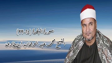 سورة البقرة (٢٥-٣٣) - الشيخ محمد عبدالوهاب الطنطاوى رحمه الله