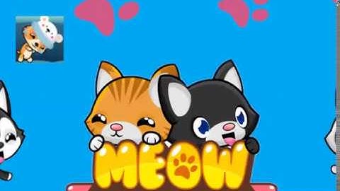 Fashion Runway || Meow Playground