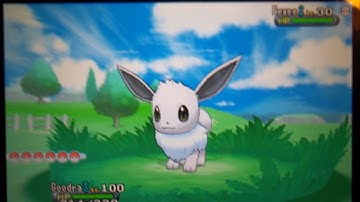 [REQUEST SHINY] Shiny Eevee after total 11,562 RE
