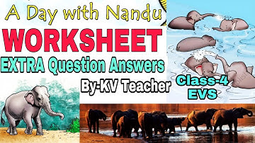 WORKSHEET/ A Day With Nandu / NCERT Chapter 3 Class-4 EVS Extra Question Answers by KV Teacher