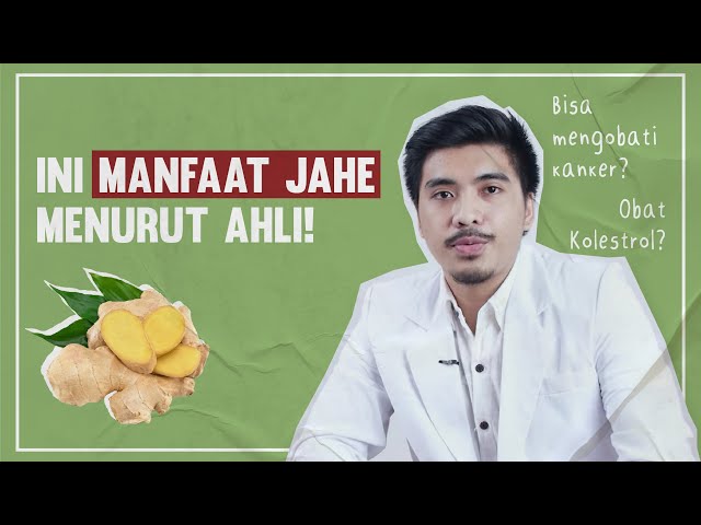 Banyak Manfaat Sih, Tapi.. | Ini Fakta Jahe Untuk Kesehatan! class=