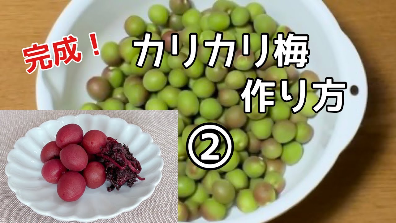 カリカリ梅の作り方 小梅 にがりを使ってカリカリに その1 下処理 塩漬け Youtube カリカリ梅の作り方 小梅 にがりを使ってカリカリに その1 下処理 塩漬け Youtube