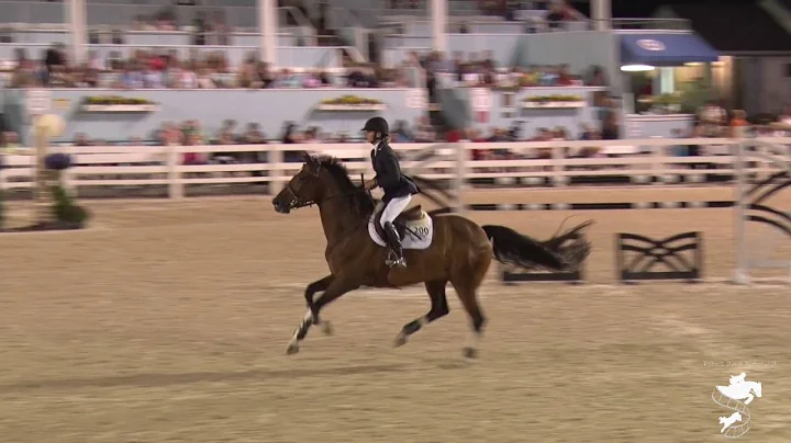 Vantina HPF ridden by Linda Sheridan--$25,00...  G...