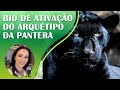 ARQUÉTIPO DA PANTERA NEGRA | Animal de Poder | Autoestima, Poder, Sedução e Magnetismo | 417Hz