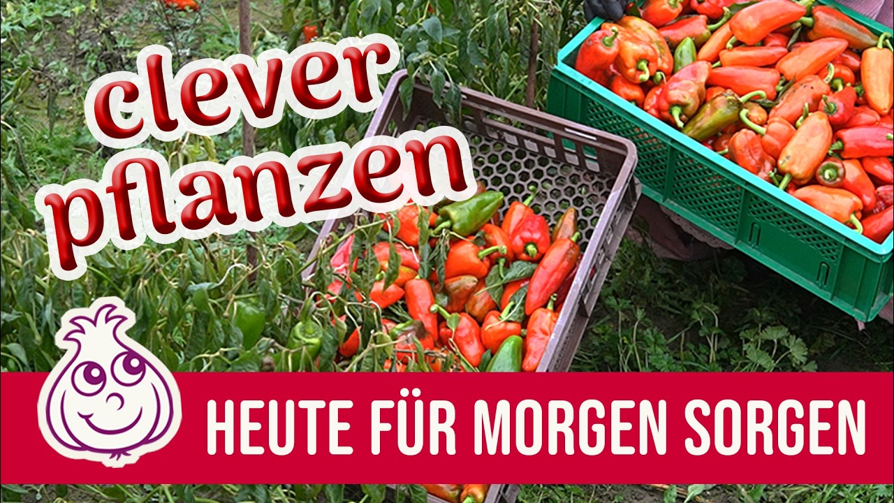 Es war Anfang Mai, Pflanzzeit, und ich stand zwischen Tomaten und Paprika, die Hände voller feuchter Erde, als mein Bruder sagte: „Du pflanzt hier Gemüse, als hätte dein Leben noch irgendeinen...