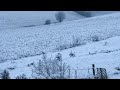 Ref:sZ0MCeIvEzs  cintegabelle. le bas lauragais soudain sous la neige