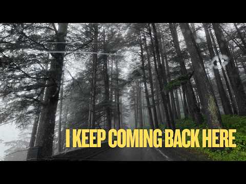 Shimla ASMR