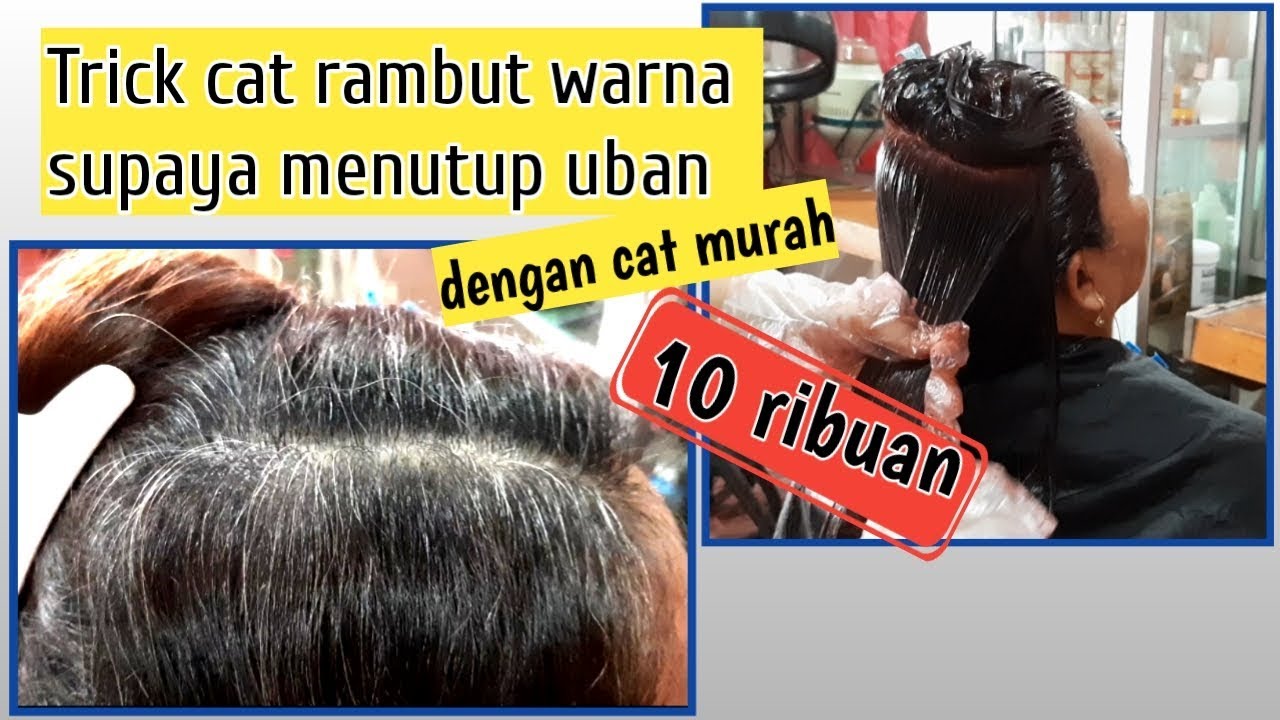 Warna Cat  Rambut  Menutupi Uban  Warna Cat  Jotun