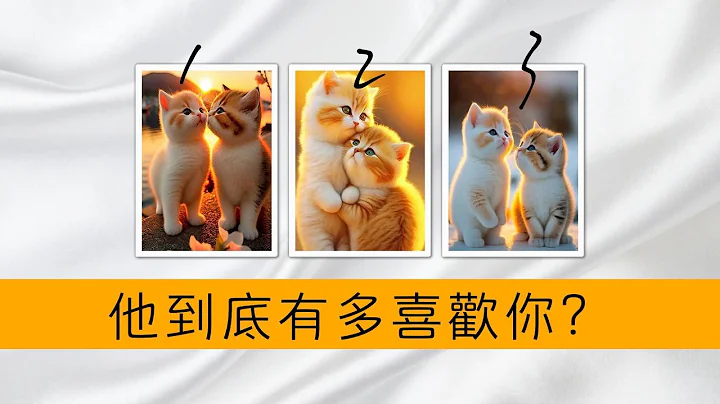 他對你的愛有多強烈？你能否像一棵樹，穩穩的生長在他心裏？羈絆一生！ |塔羅占卜|愛情|感情|曖昧|戀愛 - 天天要聞