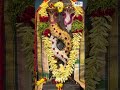 ఈ అయ్యప్ప స్వామిని దర్శించుకుంటే శని, దోషాలు తొలగిపోతాయి | #ayyappaswamy #irumudi #telugu