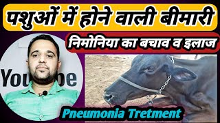 पशुओं में होने वाले निमोनिया(Pneumonia)का कारण, लक्षण, बचाव व इलाज Pneumonia in Animals Tretment