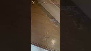 いたずらネコ朝起きたら Naughty Naughty Pepper