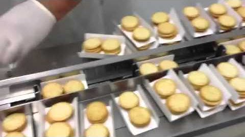 C2131 Doboy Scotty II Horizontal Flow Wrapper Wrapping Product