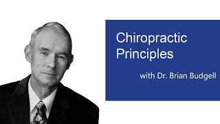 Chiropractic Principles: Scientific Vitalism