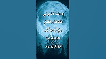 إن الصلاة تنهى عن الفحشاء والمنكر / الشيخ عبد الرحمن مسعد / سورة العنكبوت