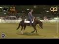 South italy futurity aram 2022  angelucci stefano  frozen gerda tari score 715