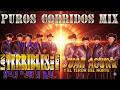 Juan Acuña y El Terror Del Norte vs Los Terribles Del Norte 🔥 Corridos Norteños Mix Éxitos