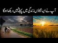 The Village V Log Perha Ftehal Beautiful Village Of Punjab Pakistan The Village V Log Perha Ftehal Beautiful Village Of Punjab Pakistan