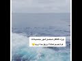 يا عہلاويہ التركمانہ اصبر وراء كل صبر امور جميلة فل لنصر لعنا ترزق بما نريد