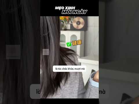 Kiểm Tra Tóc Khỏe Hay Tóc Bị Hư Tổn