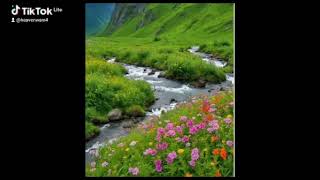 You are the Lilly of Valley,intyantyambo💗