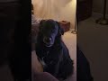 what you doing?