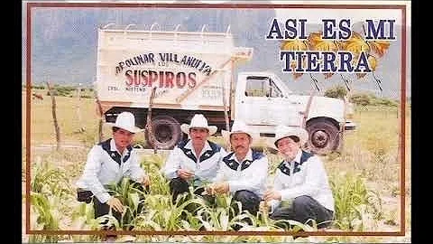Asi Es Mi Tierra - Apolinar Villanueva Y Los Suspi...