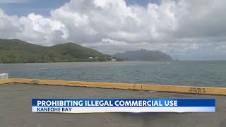 Hawaii lawmakers looking to crack down on permit evaders in popular Kaneohe Bay