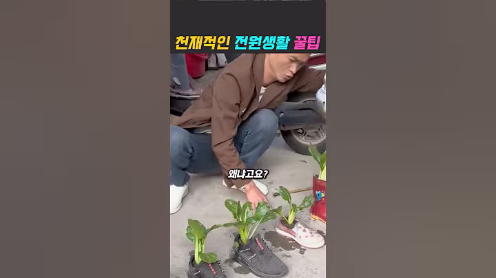 게으른 천재 #텃밭 #농사 #전원생활 #꿀팁 #정원꾸미기