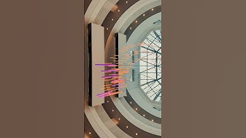 Exploring Libraries in Canada | Free Access & How to Get a Library Card with Self-Checkout! #shorts