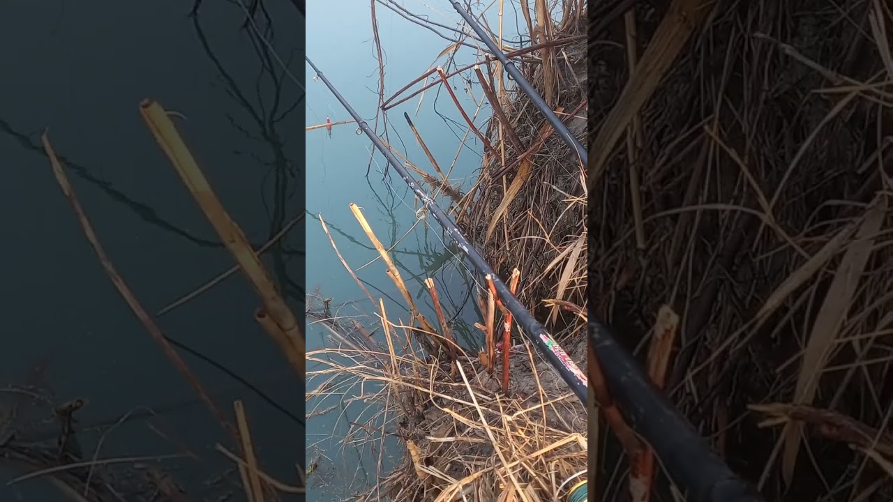 15 февраля 2026 г.