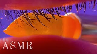 ASMR 1 HOUR EYE CLEANING WITH HONEY LIPSTICK 💄👁️