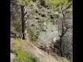 Trail run