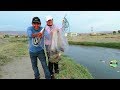 Primeros Atarrayasos 2018 Noemi y And Moll - Pesca de Tilapias Grandes
