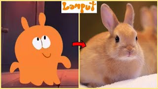 Lamput In Real Life 2021 Part 5 Lamput Tuzki Lampot Funky Cartoons
