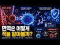 면역은 어떻게 적을 알아볼까? 감염병과 백신의 진짜 원리