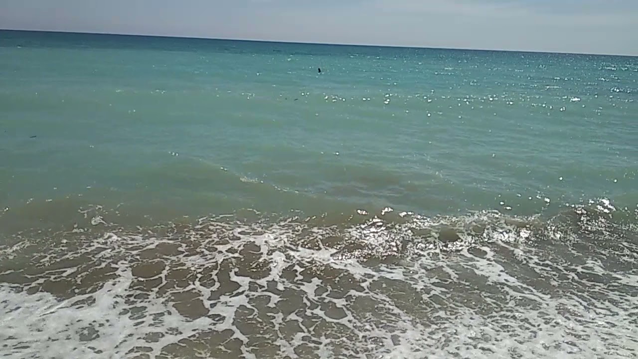 Море 2021 Море 2021