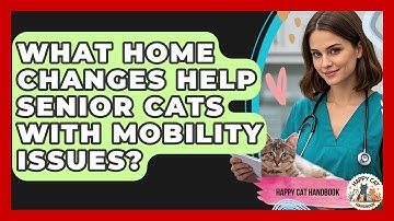 What Home Changes Help Senior Cats With Mobility Issues? - Happy Cat Handbook