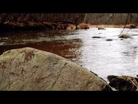 Video: Ar buvo upės srovė?