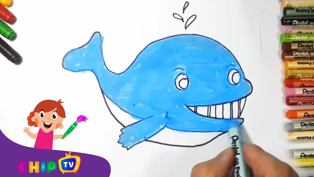 ChipTv Draw | Draw and Color the Blue Dolphin, Coloring for kids