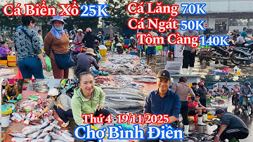 Chợ Bình Điền Sáng Thứ 4 - Cá Nhám Xổ 25K, Tôm Càng 140K, Cá Ngát 50K, Cá Lăng 70K | 19/11/2025