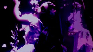 Disney Crossover Counting Stars Requested Video