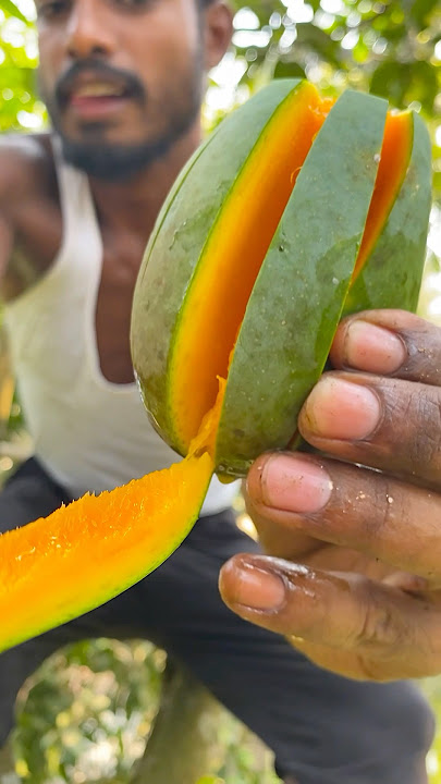 fresh ripe mango🥭🥭🥭 #fruit