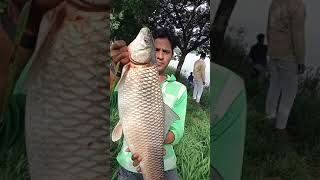 6 Kg Big Mirgal fish Catch||Fishing Hunting India