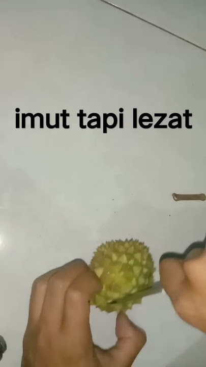 Durian Paling Imut Nih #shorts #mukbang #durian