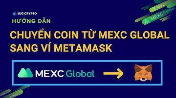 Hướng dẫn chuyển coin từ MEXC Global sang Metamask, dễ hiểu cho người mới [2023]