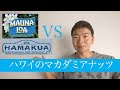 MaunaLoa（マウナロア）VS　Hamakua（ハマクア）行くのはどっち？２社のマカダミアナッツ直売所と工場を訪問！【ハワイ　お土産】